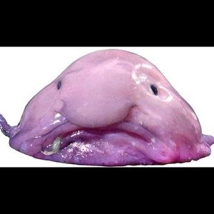 Meet your Posher, Willie